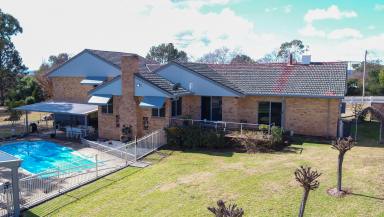 Acreage/Semi-rural For Sale - NSW - Inverell - 2360 - Town and Country Living At its Best  (Image 2)