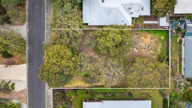 Residential Block For Sale - WA - Dunsborough - 6281 - Exceptionally Elevated Land Parcel with 20m Frontage!  (Image 2)