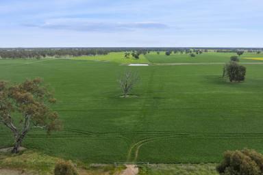 Other (Rural) For Sale - VIC - Caniambo - 3630 - Quality Cropping/Grazing Opportunity in Caniambo Region  (Image 2)