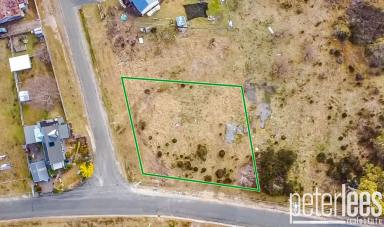 Residential Block For Sale - TAS - Rossarden - 7213 - Create Your Ideal Lifestyle Near Ben Lomond (Image 2)