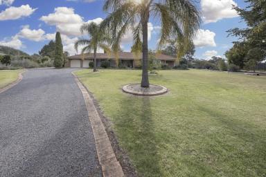 House For Sale - VIC - Swan Hill - 3585 - Room To Roam On Mortoo  (Image 2)