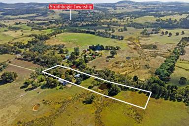 Lifestyle Sold - VIC - Strathbogie - 3666 - "Calrossie" - Secluded Retreat Near Strathbogie Township  (Image 2)