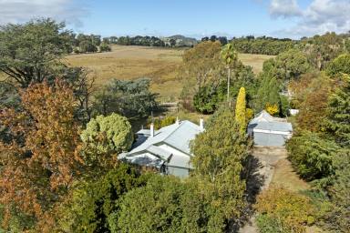 Lifestyle Sold - VIC - Strathbogie - 3666 - "Calrossie" - Secluded Retreat Near Strathbogie Township  (Image 2)