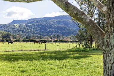 Acreage/Semi-rural For Sale - NSW - Berry - 2535 - Rural Bliss on the outskirts of the village  (Image 2)