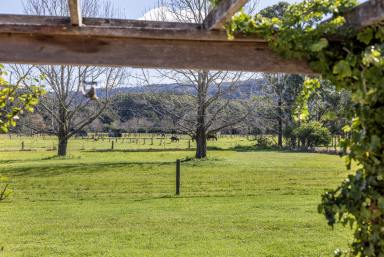 Acreage/Semi-rural For Sale - NSW - Berry - 2535 - Rural Bliss on the outskirts of the village  (Image 2)