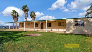 Other (Rural) For Sale - NSW - Gulgong - 2852 - RARE COMMERCIAL OPPORTUNITY - RIVERSTONE  (Image 2)