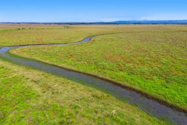 Residential Block For Sale - NSW - Clybucca - 2440 - Prime Cattle Farming Oasis-200 Acres of Opportunity in Clybucca Valley  (Image 2)