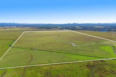 Residential Block For Sale - NSW - Clybucca - 2440 - Prime Cattle Farming Oasis-200 Acres of Opportunity in Clybucca Valley  (Image 2)