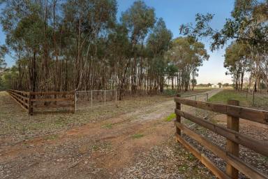 Residential Block For Sale - VIC - Eppalock - 3551 - Secluded serenity: Your dream 20 acre allotment with powered shed and approved permit awaits  (Image 2)