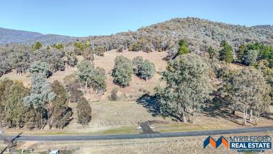 Residential Block For Sale - VIC - Myrtleford - 3737 - Live Large on Expansive Block in Sought-After Buffalo Creek Road  (Image 2)