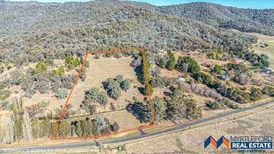 Residential Block For Sale - VIC - Myrtleford - 3737 - Live Large on Expansive Block in Sought-After Buffalo Creek Road  (Image 2)