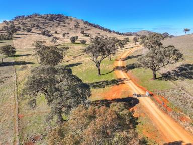 Other (Rural) For Sale - NSW - Muttama - 2722 - Excellent Grazing and Rural Lifestyle Opportunity  (Image 2)