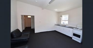 Studio For Lease - TAS - Burnie - 7320 - Inner City Partly Furnished Studio  (Image 2)