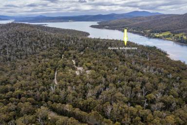 Residential Block For Sale - TAS - Taranna - 7180 - Approx. 100 acres adjoining the Waterfront Reserve. Just over 1hr from Hobart
A great opportunity to go "Off Grid"  (Image 2)