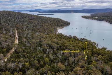Residential Block For Sale - TAS - Taranna - 7180 - Approx. 100 acres adjoining the Waterfront Reserve. Just over 1hr from Hobart
A great opportunity to go "Off Grid"  (Image 2)