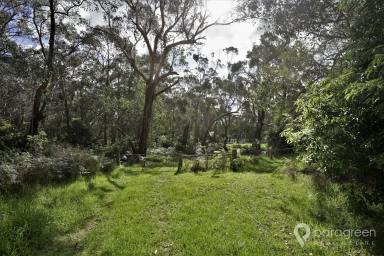 Residential Block For Sale - VIC - Agnes - 3962 - RURAL LIVING  (Image 2)