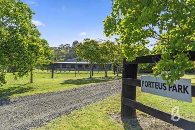 Lifestyle Sold - NSW - Singleton - 2330 - "PORTEUS PARK" | RURAL RETREAT  (Image 2)