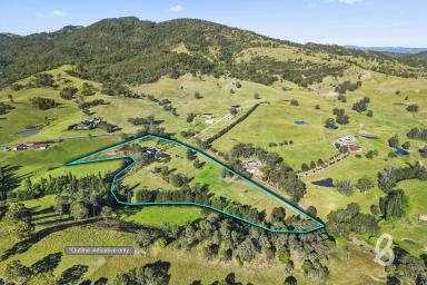 Lifestyle For Sale - NSW - Singleton - 2330 - "PORTEUS PARK" | RURAL RETREAT  (Image 2)