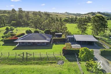 Lifestyle For Sale - NSW - Singleton - 2330 - "PORTEUS PARK" | RURAL RETREAT  (Image 2)