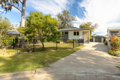 House For Sale - NSW - Moree - 2400 - RENOVATED AND READY TO GO!  (Image 2)