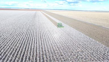 Cropping For Sale - NSW - North Star - 2408 - AN UNPARALLELED INSTITUTIONAL CROPPING OPPORTUNITY (Image 2)