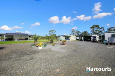 House For Sale - QLD - Buxton - 4660 - 5.1 ACRES OF PARADISE IN BEAUTIFUL BUXTON  (Image 2)