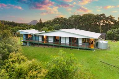 House Sold - QLD - Cooran - 4569 - Serene Sanctuary in the Noosa Hinterland  (Image 2)