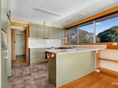 House For Lease - TAS - Devonport - 7310 - Sun Filled Family Home  (Image 2)