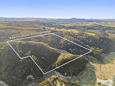 Residential Block For Sale - TAS - Claude Road - 7306 - Take a look at the video - Endless Potential: 148 Acres approx. of North West Tasmanian Beauty  (Image 2)