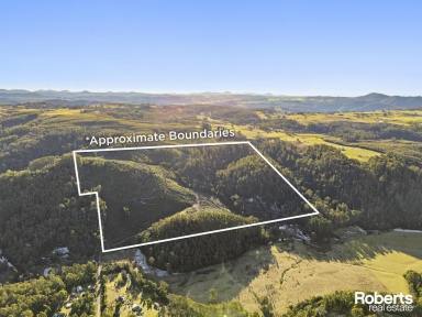 Residential Block For Sale - TAS - Claude Road - 7306 - Take a look at the video - Endless Potential: 148 Acres approx. of North West Tasmanian Beauty  (Image 2)