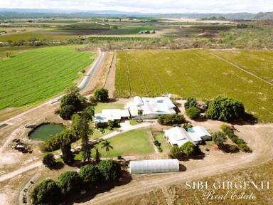 Cropping For Sale - QLD - Dimbulah - 4872 - LIFESTYLE and RURAL PRODUCTIVITY ALL IN ONE  (Image 2)