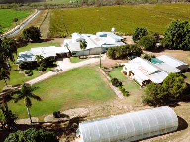 Cropping For Sale - QLD - Dimbulah - 4872 - LIFESTYLE and RURAL PRODUCTIVITY ALL IN ONE  (Image 2)