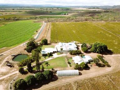 Cropping For Sale - QLD - Dimbulah - 4872 - LIFESTYLE and RURAL PRODUCTIVITY ALL IN ONE  (Image 2)