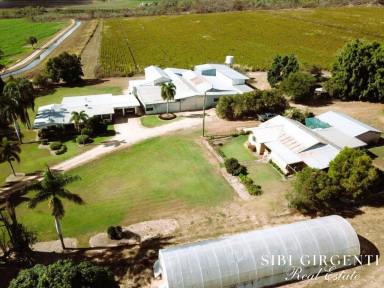 Cropping For Sale - QLD - Dimbulah - 4872 - LIFESTYLE and RURAL PRODUCTIVITY ALL IN ONE  (Image 2)