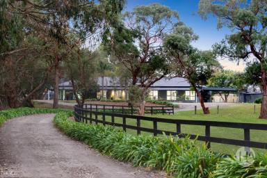 Acreage/Semi-rural For Sale - VIC - Blind Bight - 3980 - Country-Style Living with Poolside Deck, Large Shed & Mancave  (Image 2)