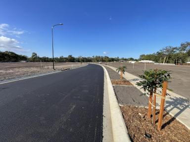 Residential Block For Sale - QLD - Branyan - 4670 - AMPLE ROOM TO BUILD YOUR DREAM HOME  (Image 2)