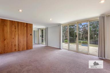 House For Sale - TAS - Christmas Hills - 7330 - Sunny, North Facing Family Home in Christmas Hills Land Size is 2440 square Metres.  (Image 2)