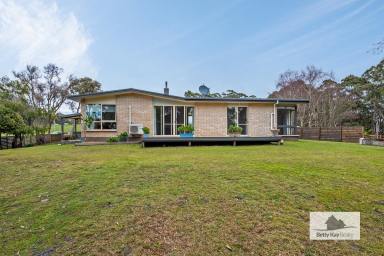 House For Sale - TAS - Christmas Hills - 7330 - Sunny, North Facing Family Home in Christmas Hills Land Size is 2440 square Metres.  (Image 2)