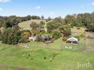 Lifestyle For Sale - NSW - Mount View - 2325 - THARAH - HUNTER VALLEY HOMESTEAD  (Image 2)
