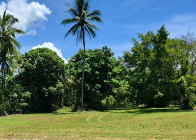 Residential Block For Sale - QLD - Cooya Beach - 4873 - COOYA BEACHFRONT RESIDENTIAL LAND @ 3035 SQM. (Image 2)