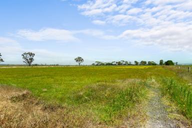 Other (Rural) For Sale - VIC - Nambrok - 3847 - Just add Water!  (Image 2)