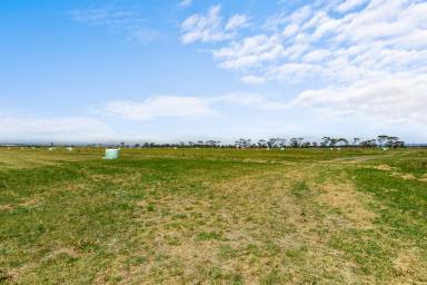 Other (Rural) For Sale - VIC - Nambrok - 3847 - Just add Water!  (Image 2)