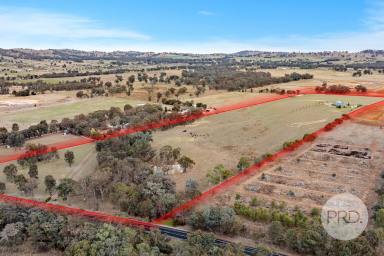 Acreage/Semi-rural For Sale - NSW - Jindera - 2642 - JINDERA DEVELOPMENT OPPORTUNITY - EXPRESSIONS OF INTEREST  (Image 2)