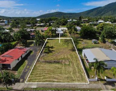 Residential Block For Sale - QLD - Cooktown - 4895 - Best Priced Mixed Zoning
Main Street Block in Cooktown  (Image 2)
