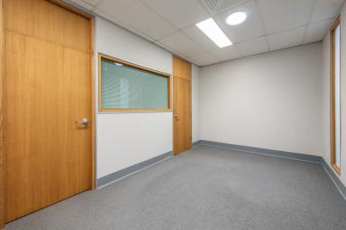 Office(s) For Lease - NSW - Grafton - 2460 - SUPER AFFORDABLE HIGH QUALITY OFFICES - GRAFTON CBD  (Image 2)