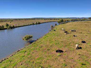 Acreage/Semi-rural For Sale - NSW - Palmers Channel - 2463 - Lifestyle Farm Minutes To Yamba  (Image 2)