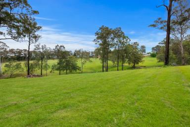 House For Sale - NSW - Grose Vale - 2753 - 'Bellview' Rural Lifestyle On 20+ Acres  (Image 2)