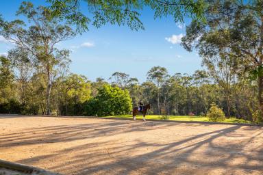 Acreage/Semi-rural For Sale - NSW - Ebenezer - 2756 - Unleash Your Equestrian Dreams: A Rare 25-Acre Oasis Awaits!  (Image 2)