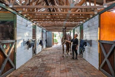 Acreage/Semi-rural For Sale - NSW - Ebenezer - 2756 - Unleash Your Equestrian Dreams: A Rare 25-Acre Oasis Awaits!  (Image 2)