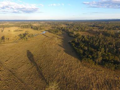 Livestock For Sale - NSW - Rappville - 2469 - 187 ACRES - WYAN  (Image 2)